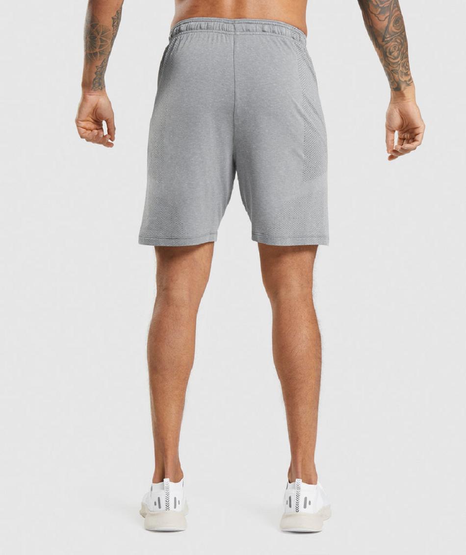 Pantalones Cortos Gymshark Vital Light Hombre Gris | CO 3881ZUT